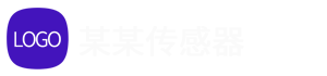 某某科技有限公司